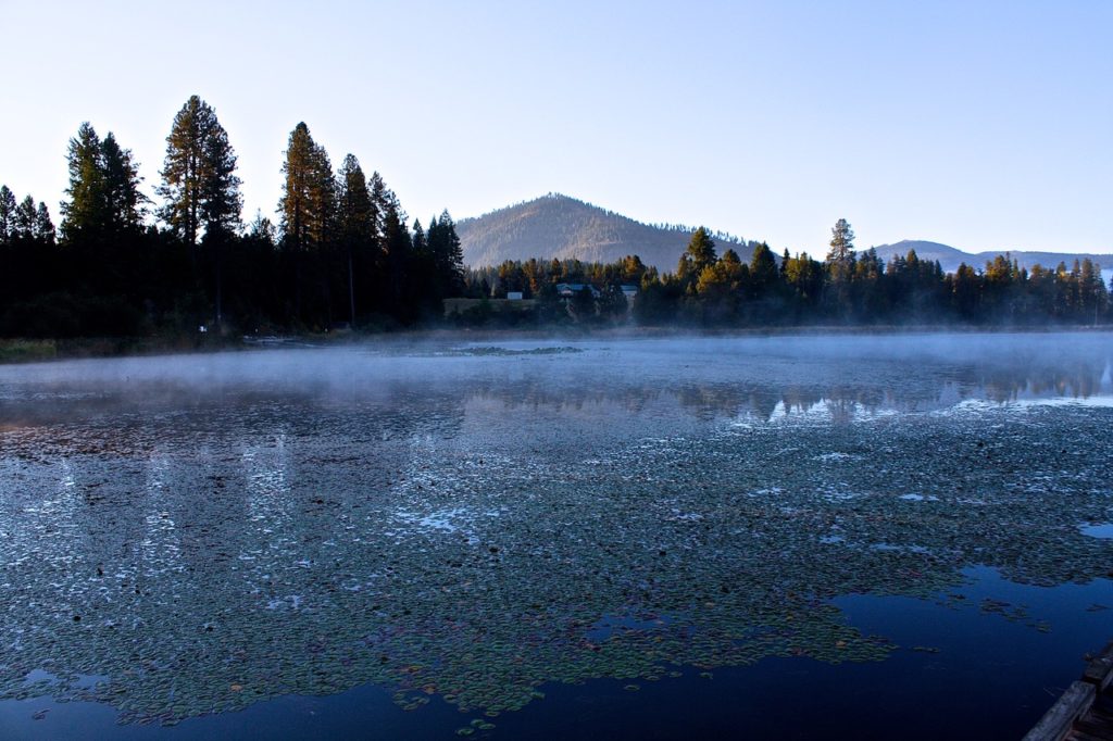 Early morning fog Rose Lake, Kootenai County