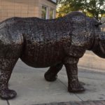 Rhino getting ready to cross Main Street in Downtown Meridian