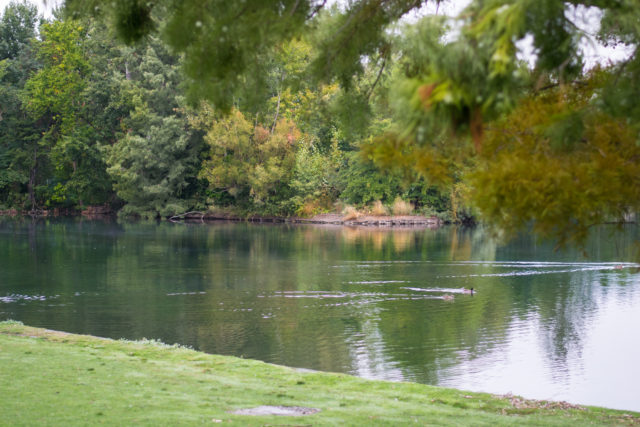 A lake on the Greenbelt near Boise State