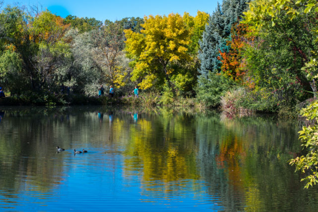 A tranquil lake at Kathryn albertsons Park