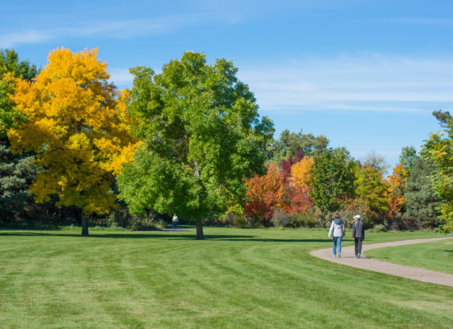 A nice walk at Kathryn Albertson Park