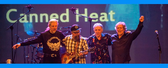 Canned Heat in concert