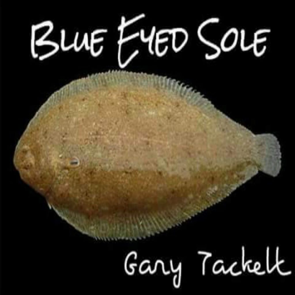 Gary Tackett Blue Eyed Soul Album