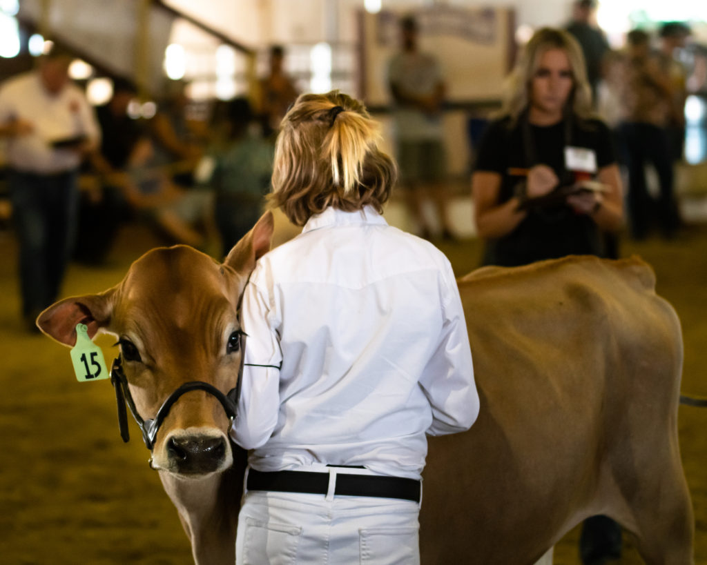 Competition at the Western Idaho Fair