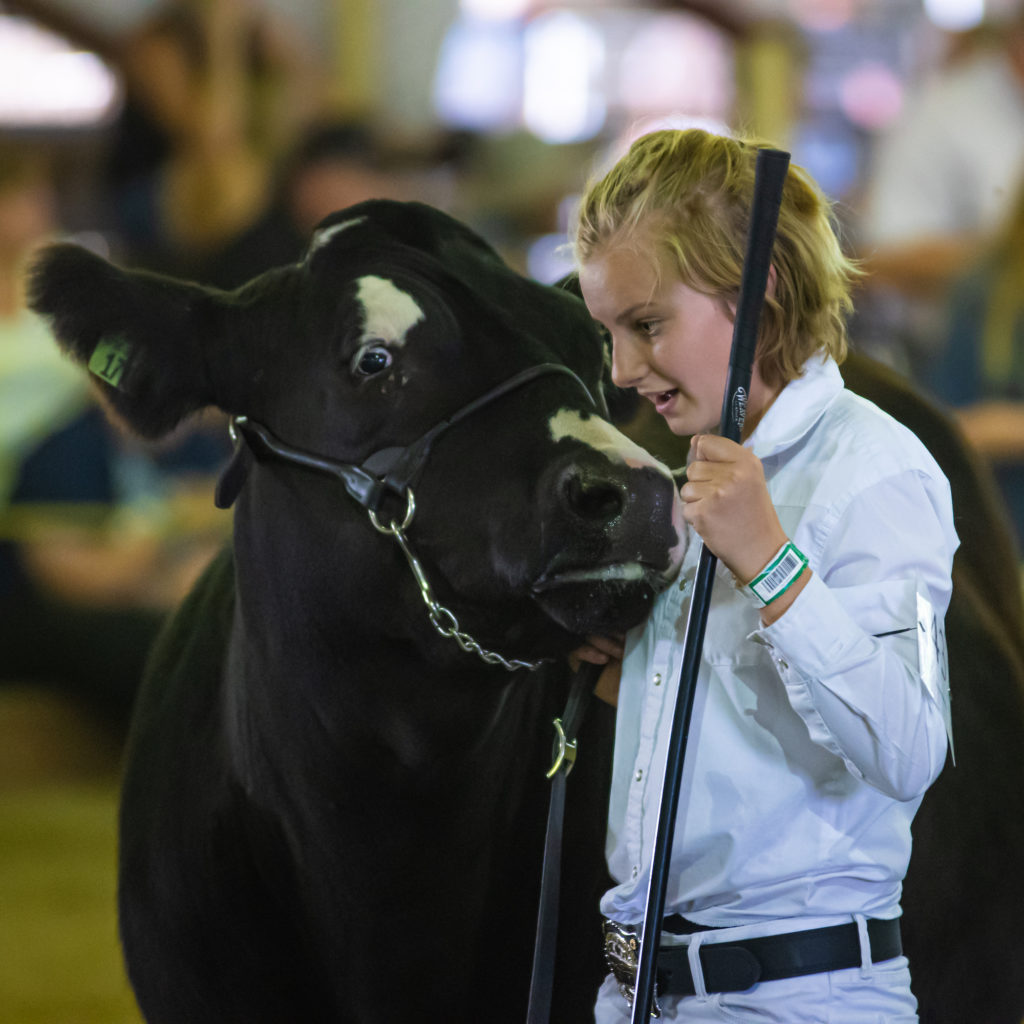 Competition at the Western Idaho Fair