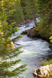 Idaho National Forest Treefort 2022's Storyfort