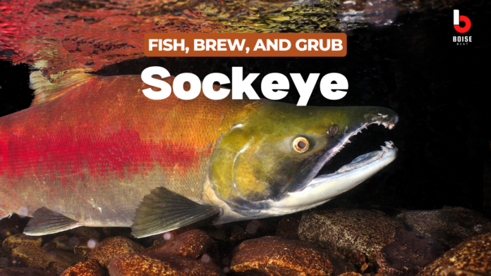 Sockeye Brewery and Grill in Boise Idaho