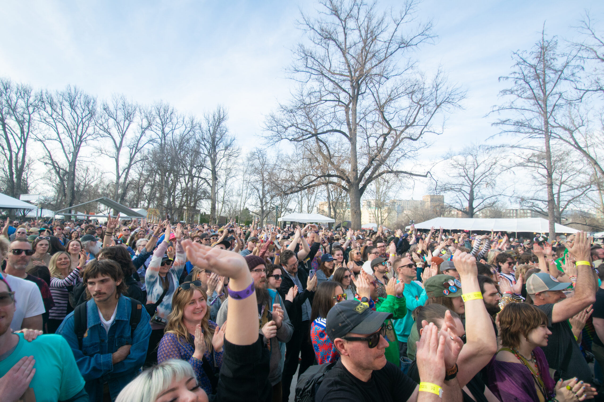 Enthusiastic crowd at Built to Spill concert, Treefort Music Festival.