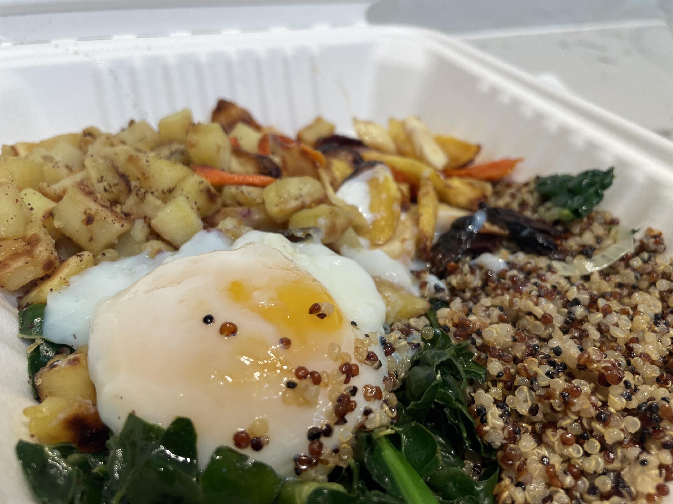 Colorful Trailhead Bowl featuring sumac sweet potatoes, quinoa, kale, roasted carrots, and a runny egg at Certified Bakery.