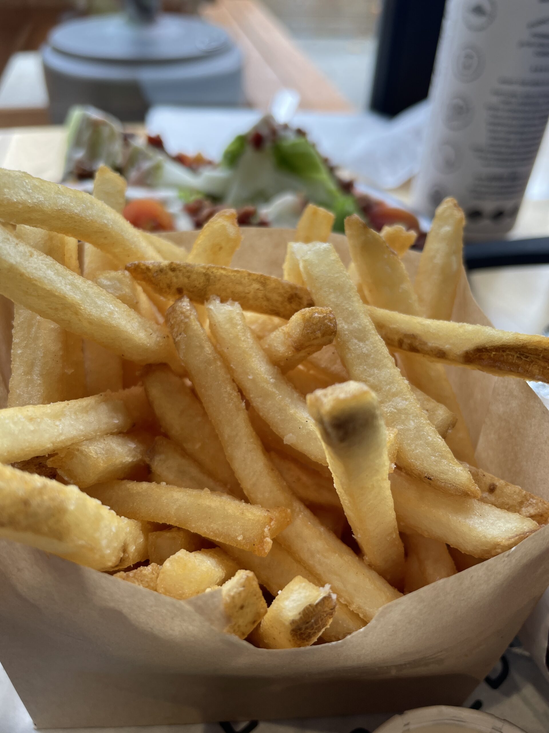 Wyld Child french fries on the Boise Bench.